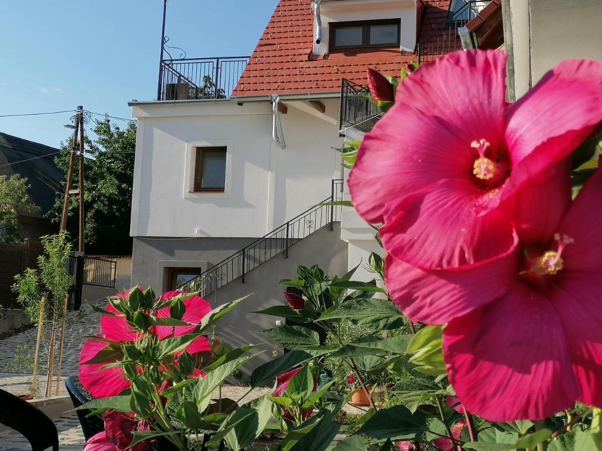 Apartmán Szigligeti Mandula Kert Vendeghaz Exteriér fotografie